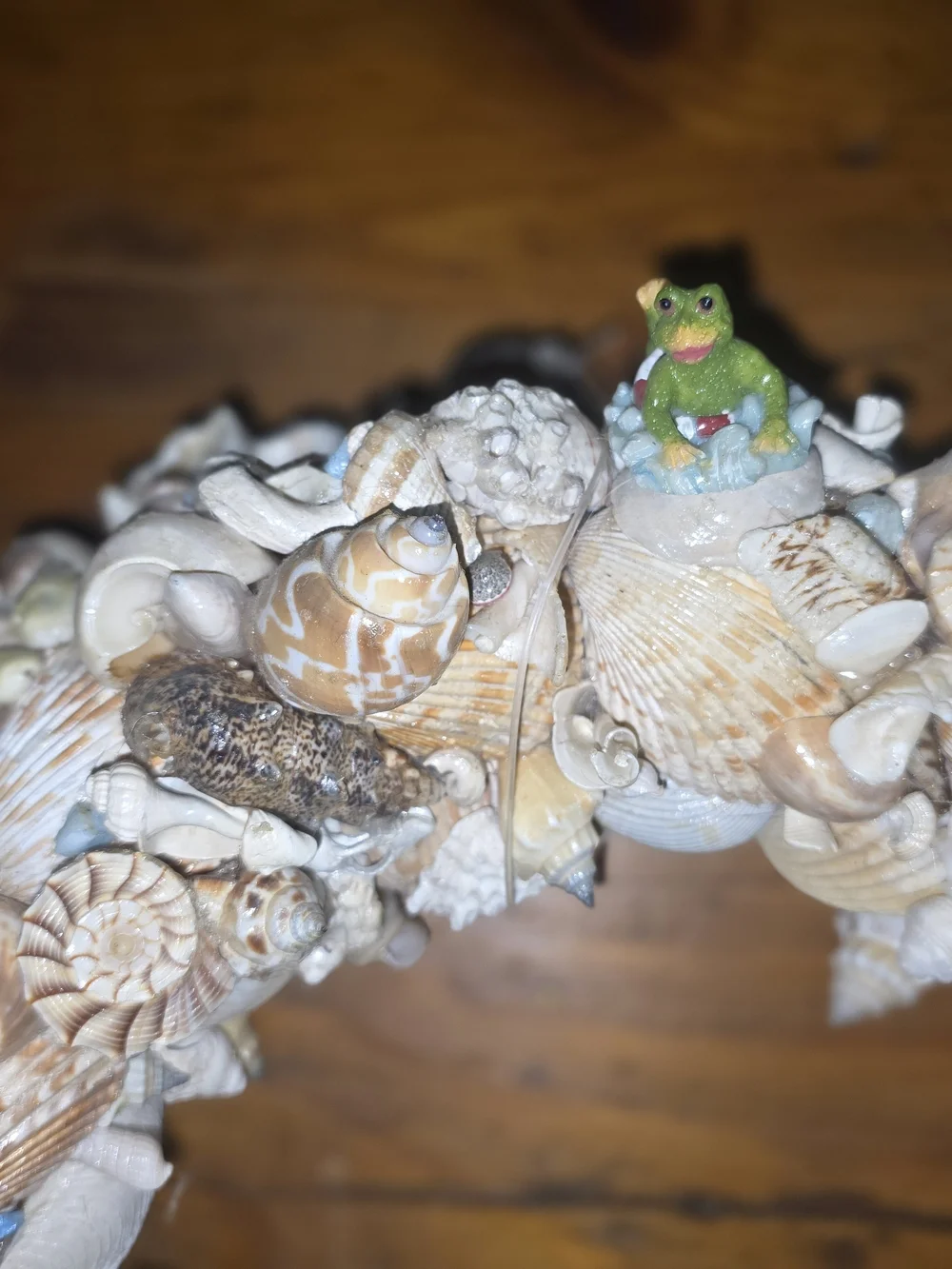 Seashell  Wreath in Natural Multi-Color